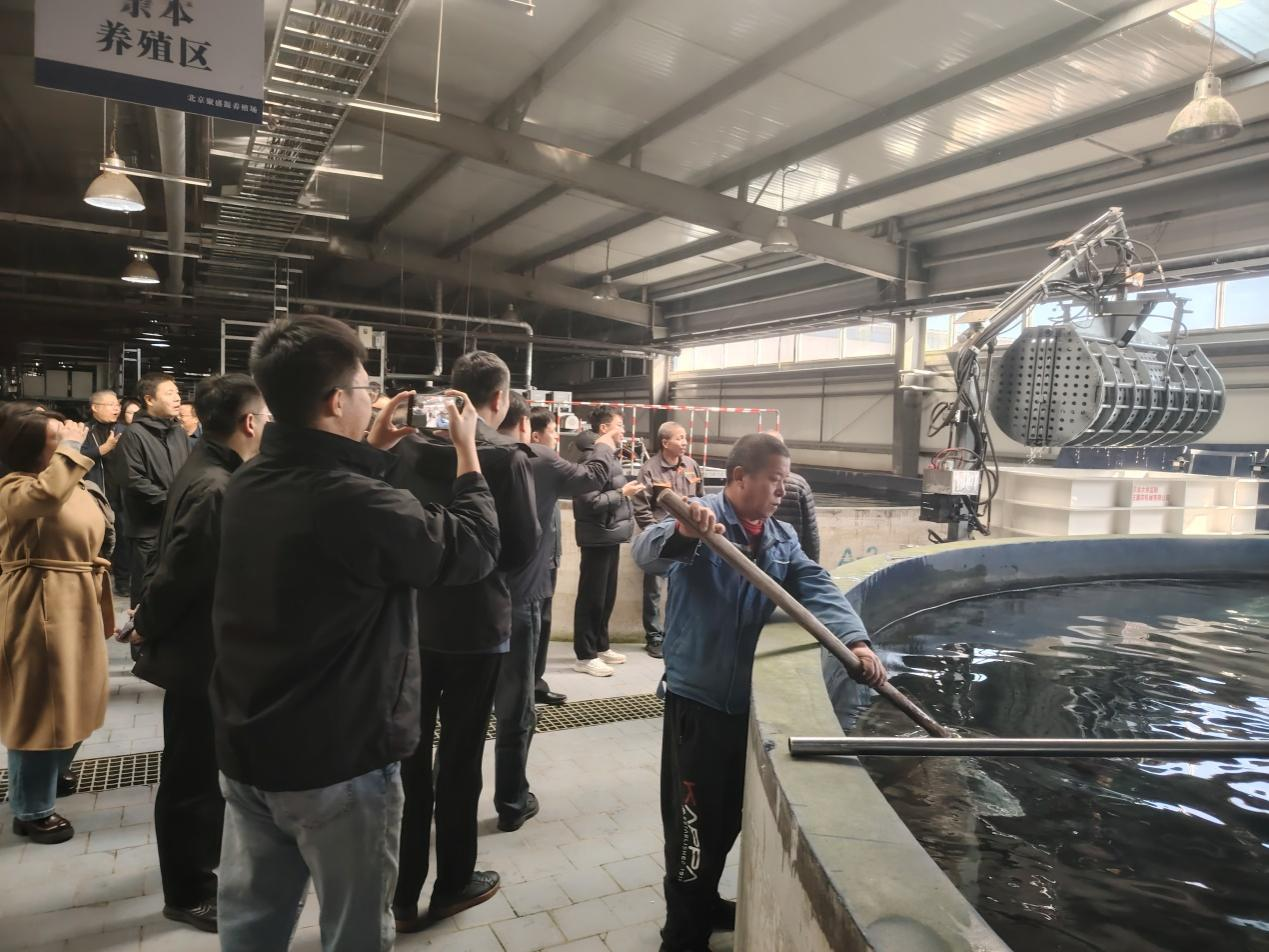 北京智慧渔场新场景现场观摩会在北京聚盛源养殖场举办