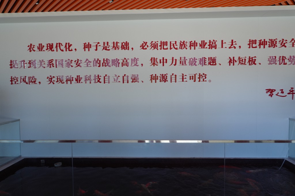 北京市第一批水产种质资源保护单位