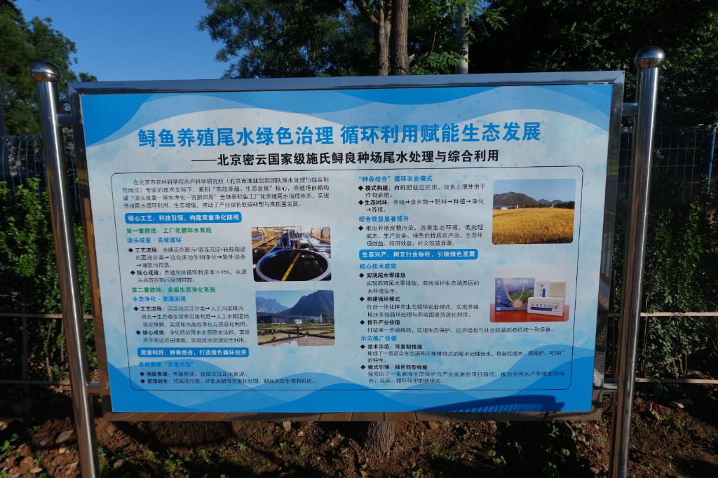 鲟鱼养殖尾水绿色治理展示牌